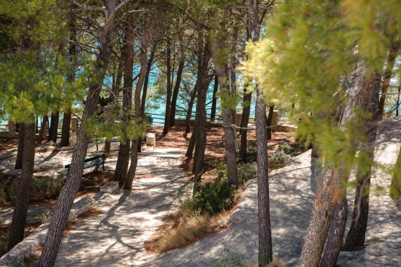 Sunny Lavica Podstrana
